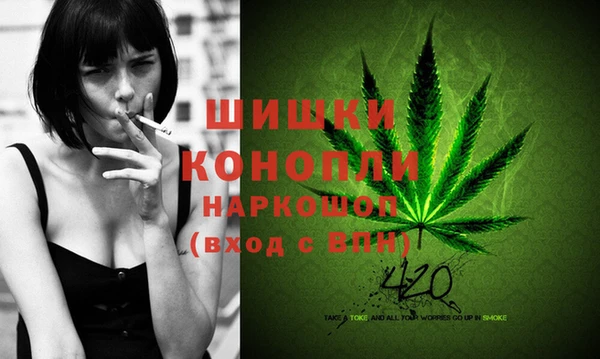 спиды Магас